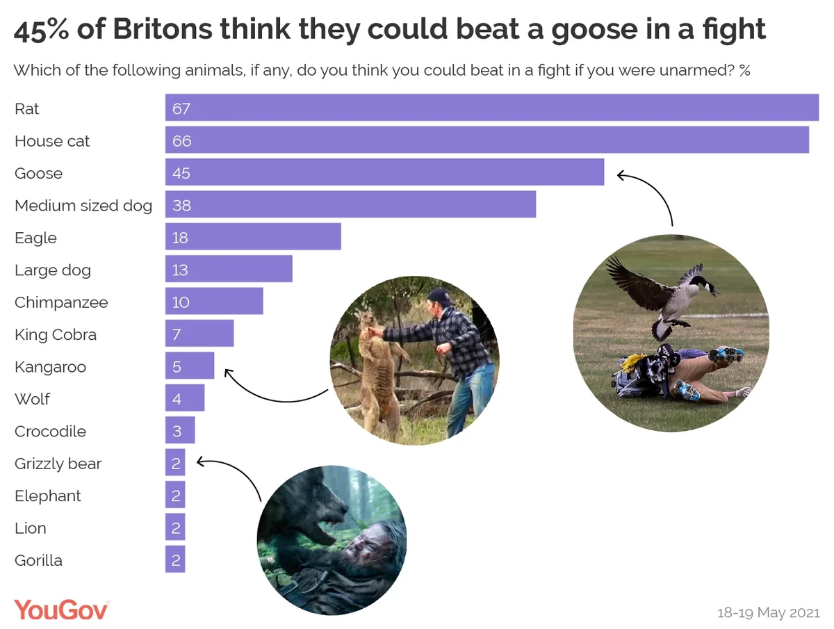 Which animals could Britons beat in a fight? | YouGov