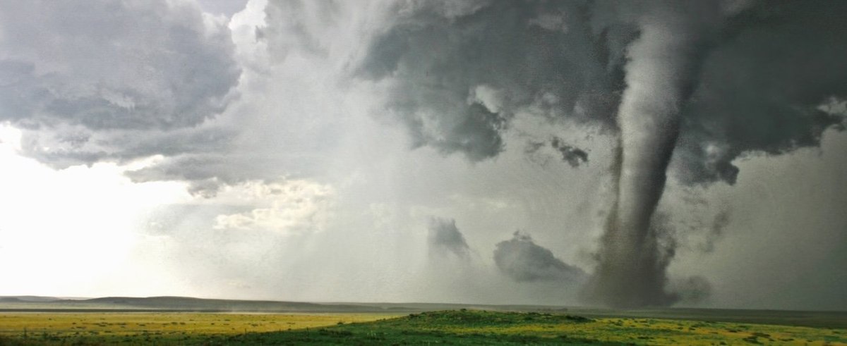 Campo, CO, tornado seen in sharp contrast with yellow wildflowers and clear skies