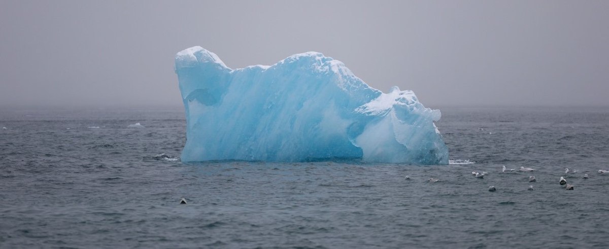 NUUK, GREENLAND - MARCH 14: An iceberg floats off shore on March 14, 2025 in Nuuk, Greenland. The self-ruling Danish territory and world's largest island has been thrust into the geopolitical spotlight as U.S. President Donald Trump has vowed to acquire it, citing its strategic value, drawing objections from Danish and Greenlandic leaders. In his State of the Union address, Trump said the US needed Greenland for national security and would "get it one way or the other," but added that he supported Greenlanders' right to determine their own future. The territory holds its general election on Ma