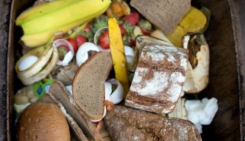Mehrheit der Deutschen lehnt Lebensmittelverschwendung ab
