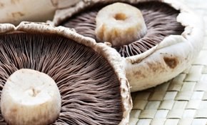 Are Britons interested in “functional” mushrooms?