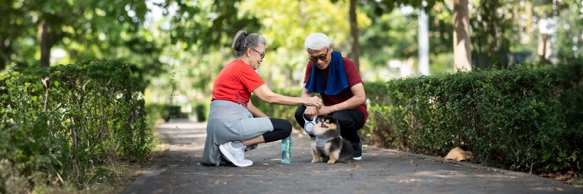 A look at Singapore’s growing running community