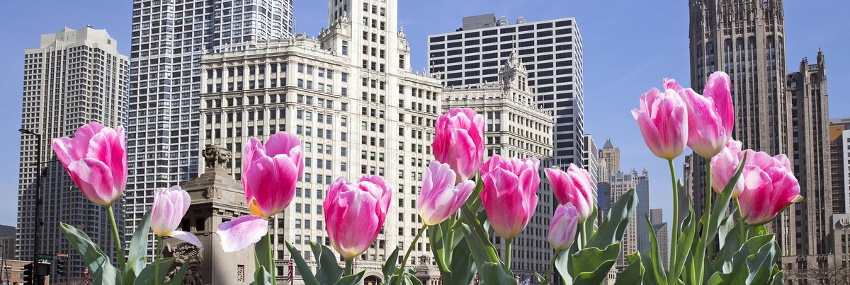 Which cities like spring the most?