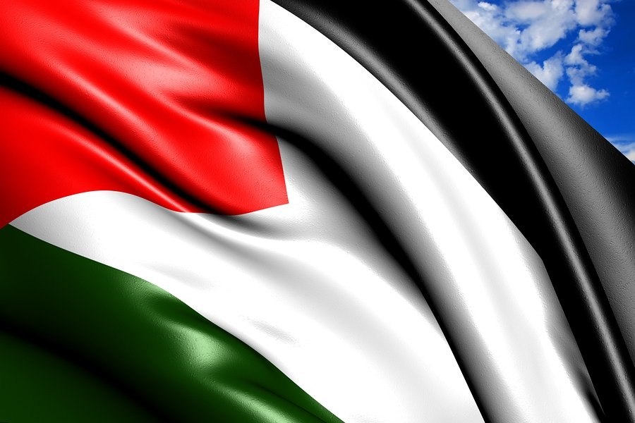 UN Issue Palestine a "Birth Certificate"