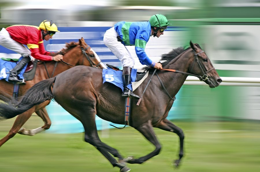 Dubai World Cup: Hats and Horses