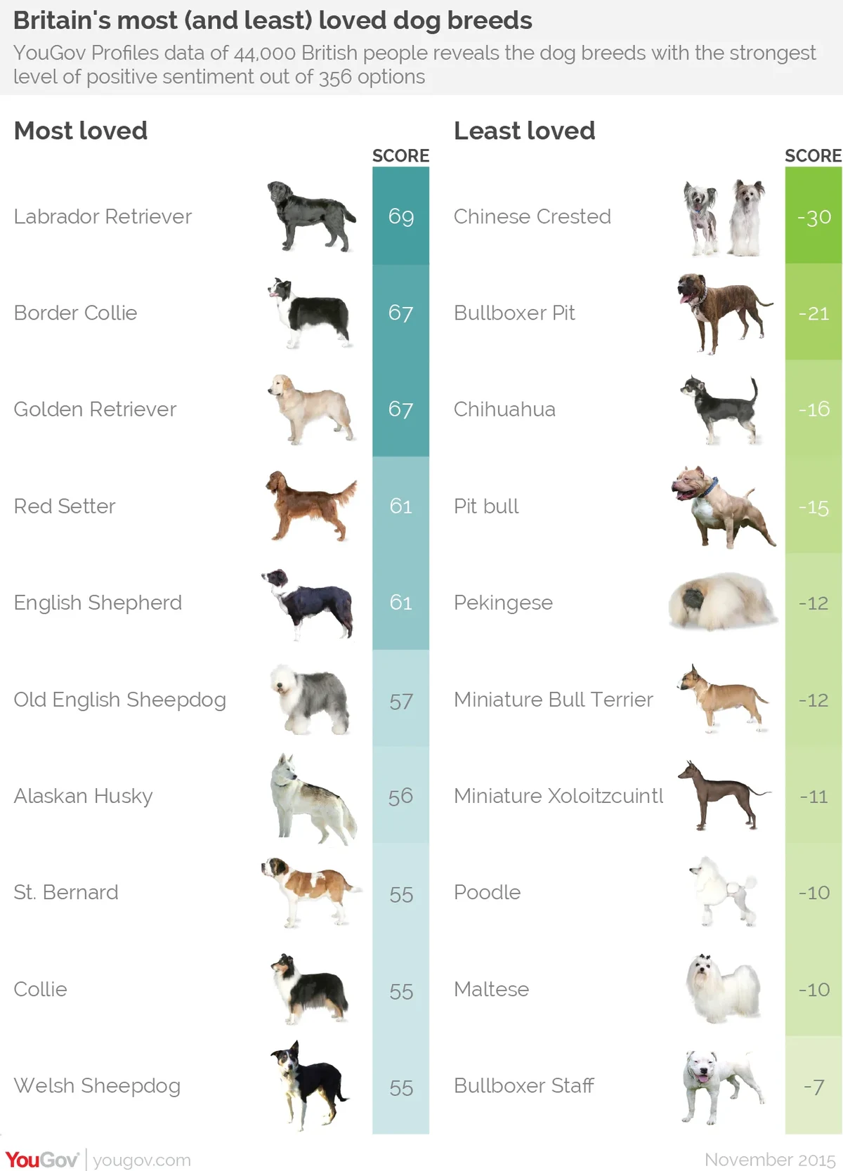 Least liked cheap dog breeds