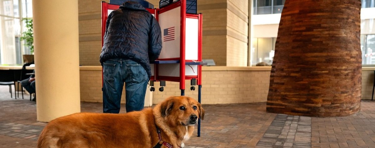 ARLINGTON, VIRGINIA - MARCH 5: A man votes as his dog keeps watch at a polling location at the Bennett Park Apartments Art Atrium on March, 5 2024 in Arlington, Virginia. 15 States and one U.S. Territory hold their primary elections on Super Tuesday, awar