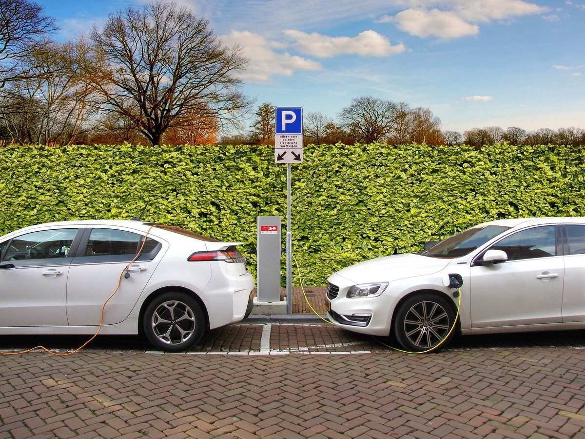 Do Americans think EVs are important in curbing climate change? 