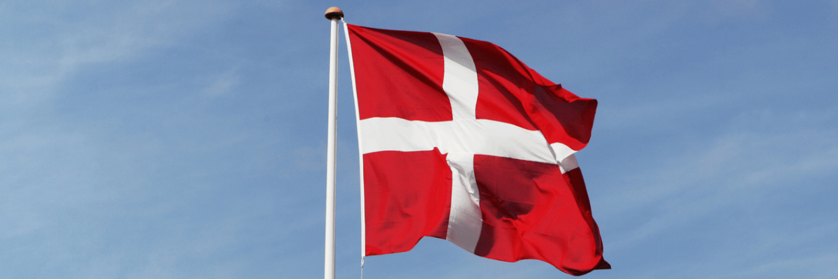 What were the issues dictating which party Danes voted for in the 2022 general election?