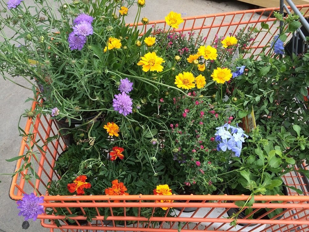 Den Frühling erkennt man an Baumarkt-Werbung