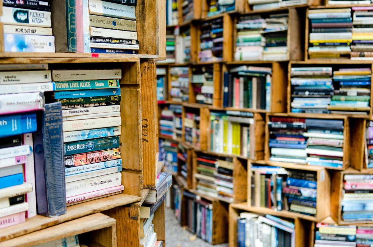 Which genres do Americans who read physical books tend to buy?