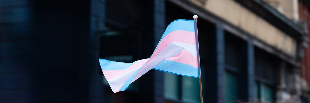 Where does the British public stand on transgender rights in 2024/25 ...